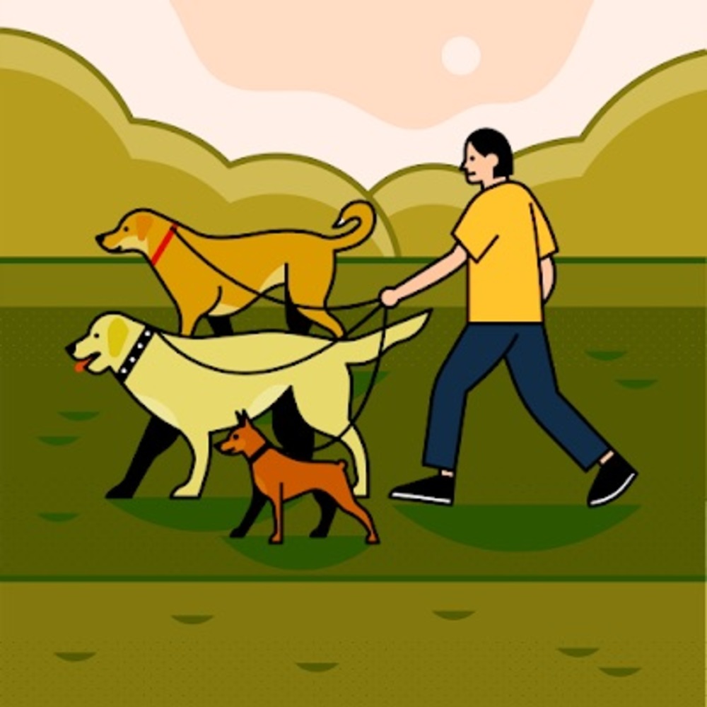 Meet your Posher, Bellababy